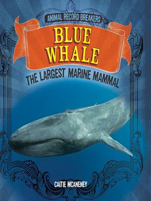 cover image of Blue Whale: The Largest Marine Mammal